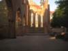 aimg_4947_small.jpg