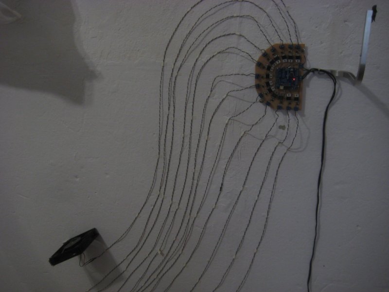 aimg_5073.jpg