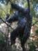 aimg_5104_small.jpg