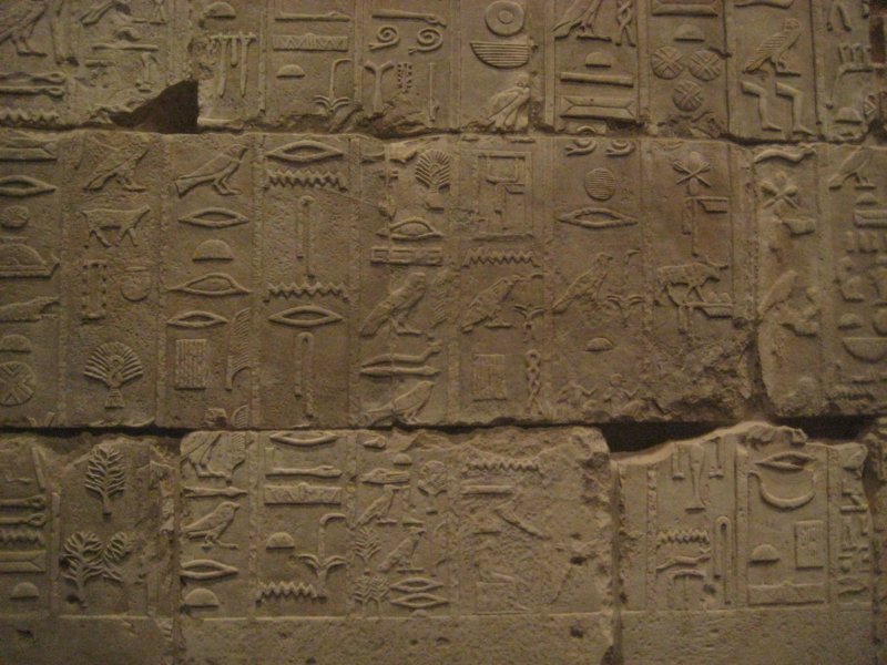 aimg_5339.jpg