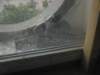 aimg_5590_small.jpg