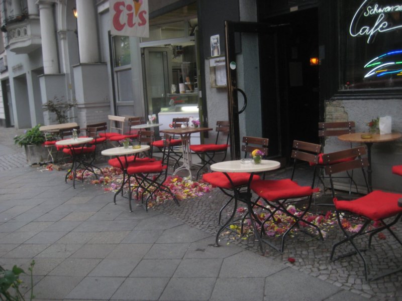 aimg_5631.jpg