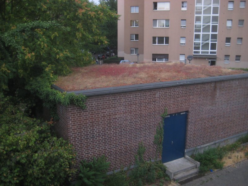 aimg_5661.jpg