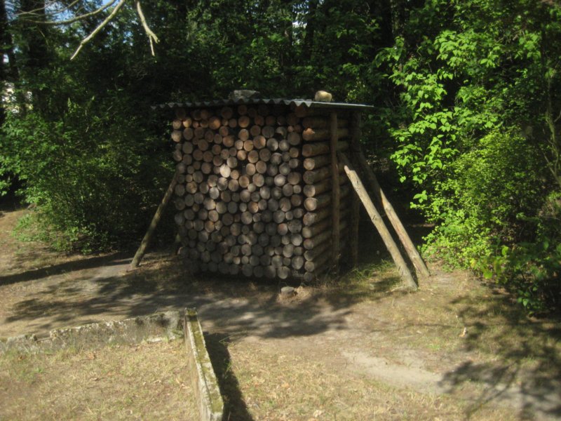aimg_5839.jpg