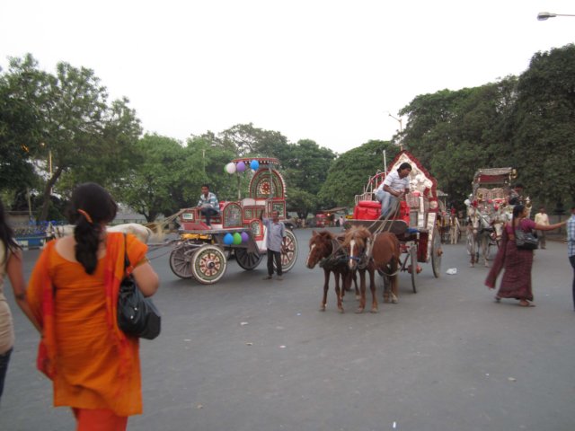 img_0690.jpg